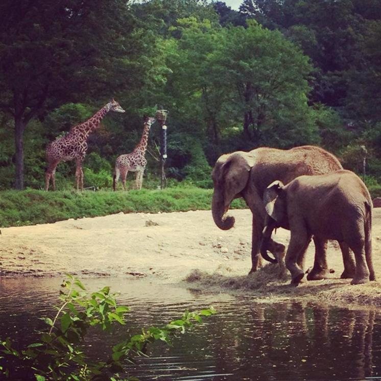 Pittsburgh zoo discount coupons